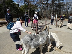 アルプス公園散策