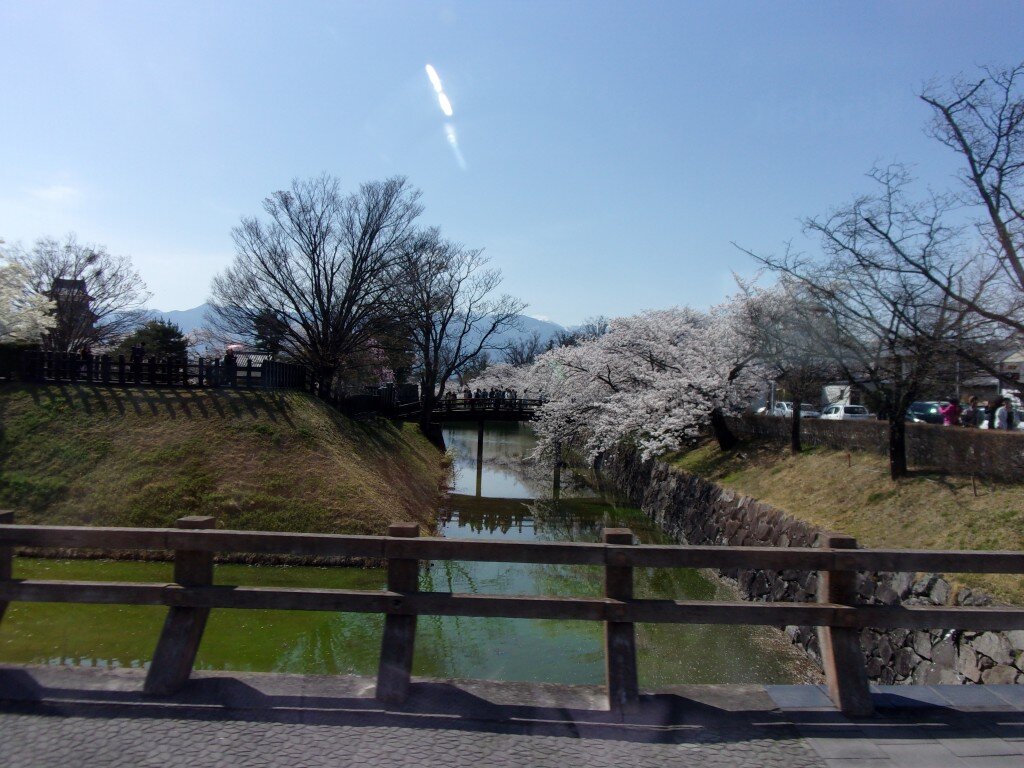松本城へお花見ドライブ2
