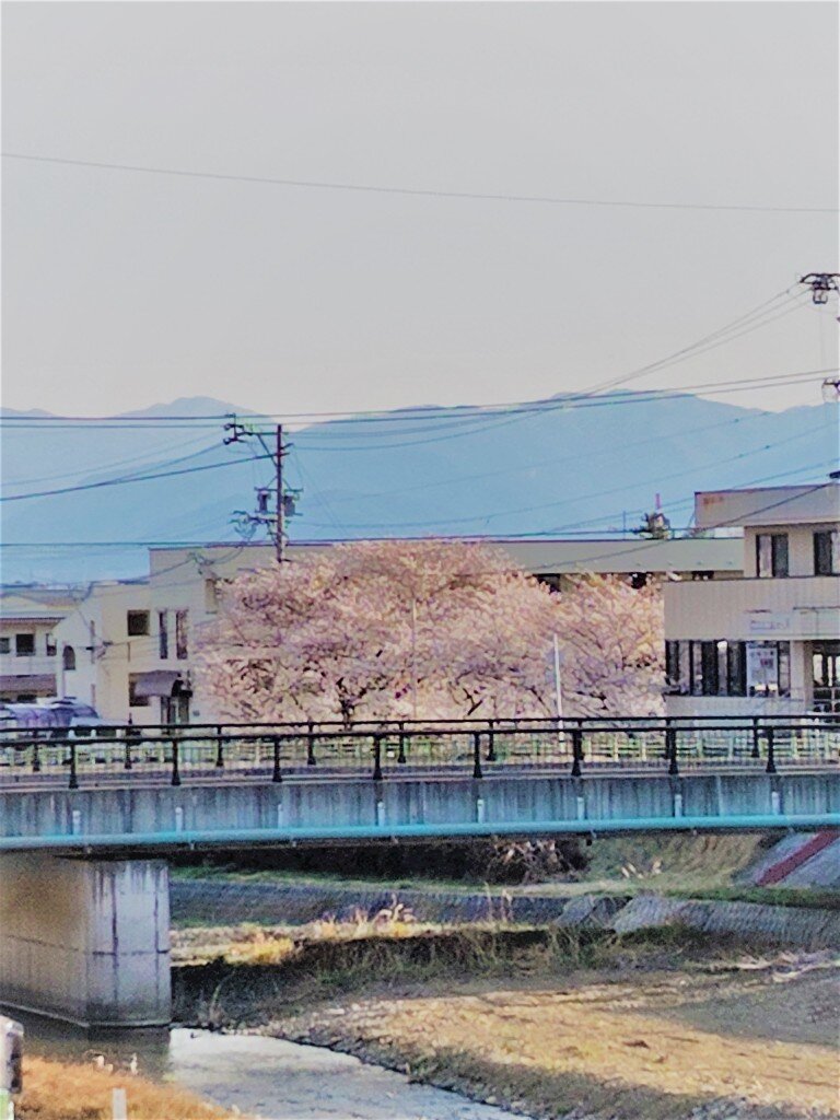 250409165702853-2-768x1024.jpg