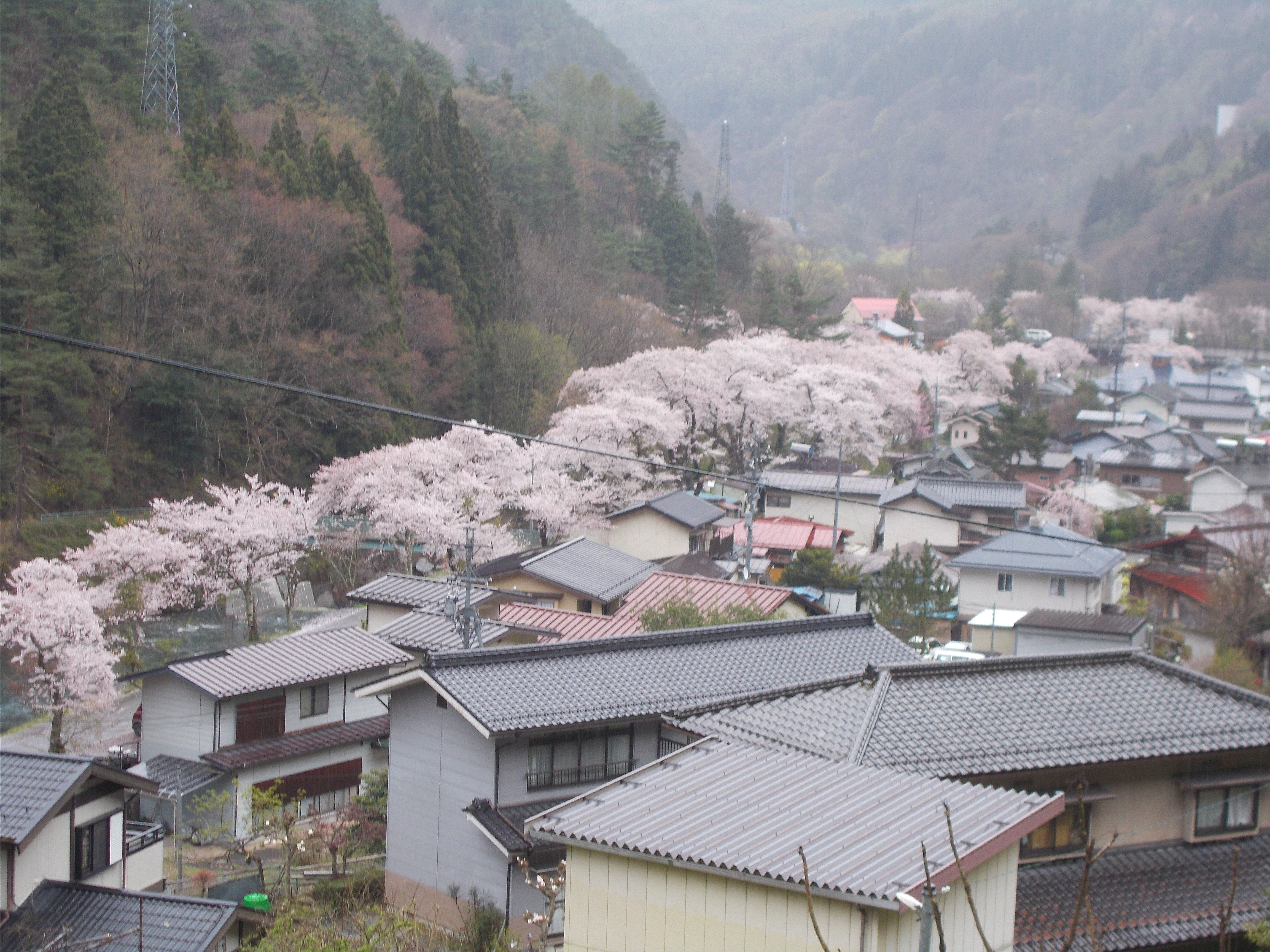 DSCN1704.JPG