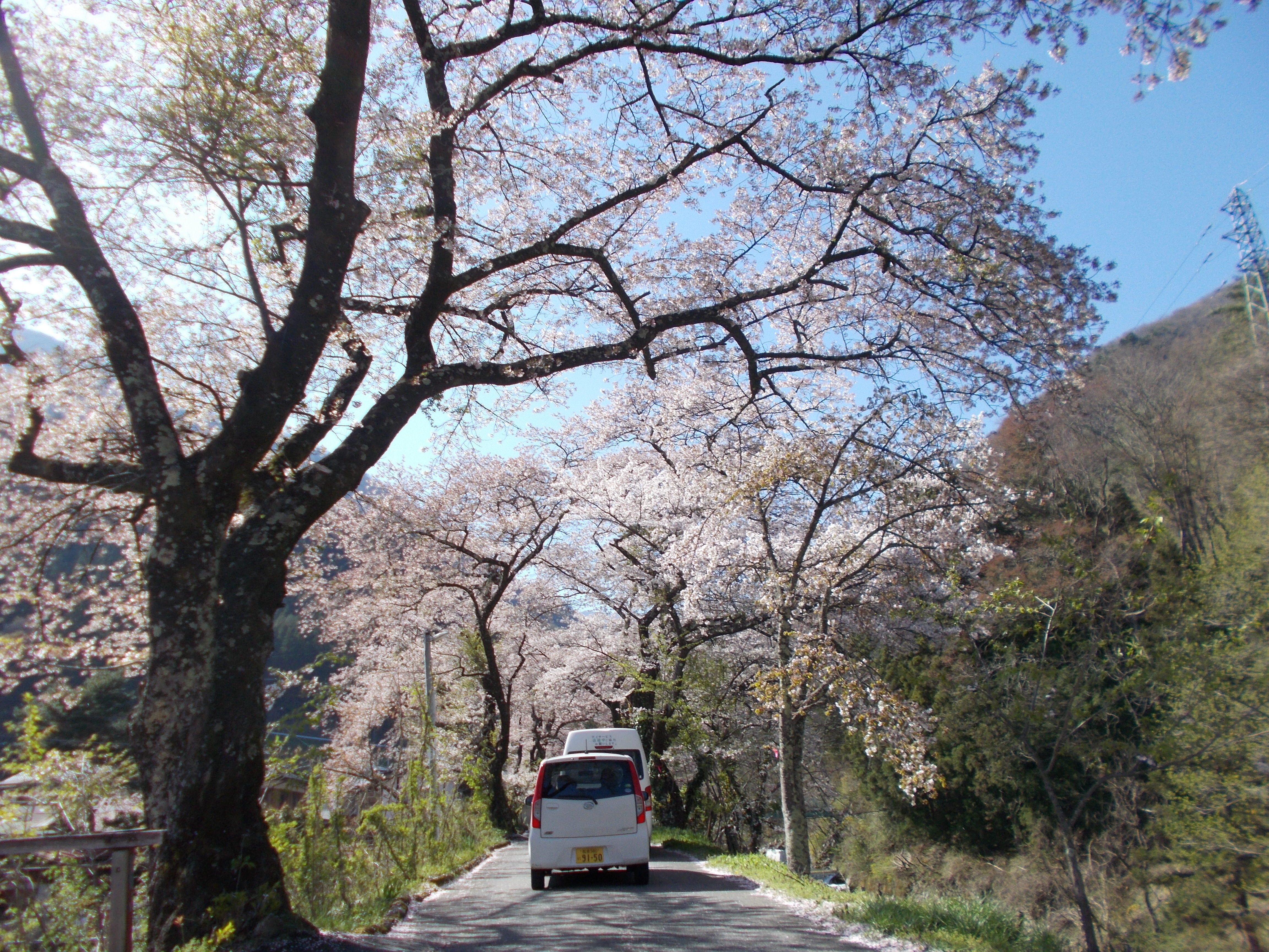 DSCN1708.JPG