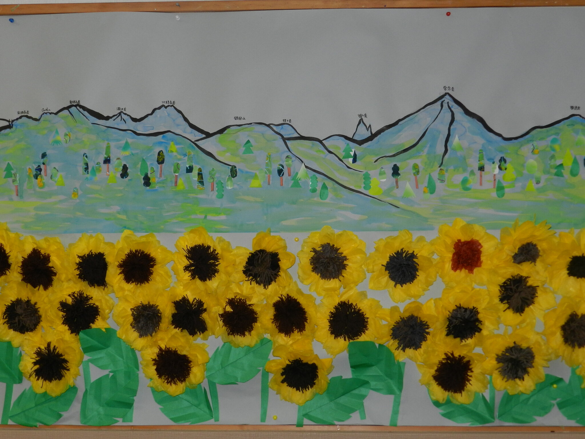 DSCN4535.JPG