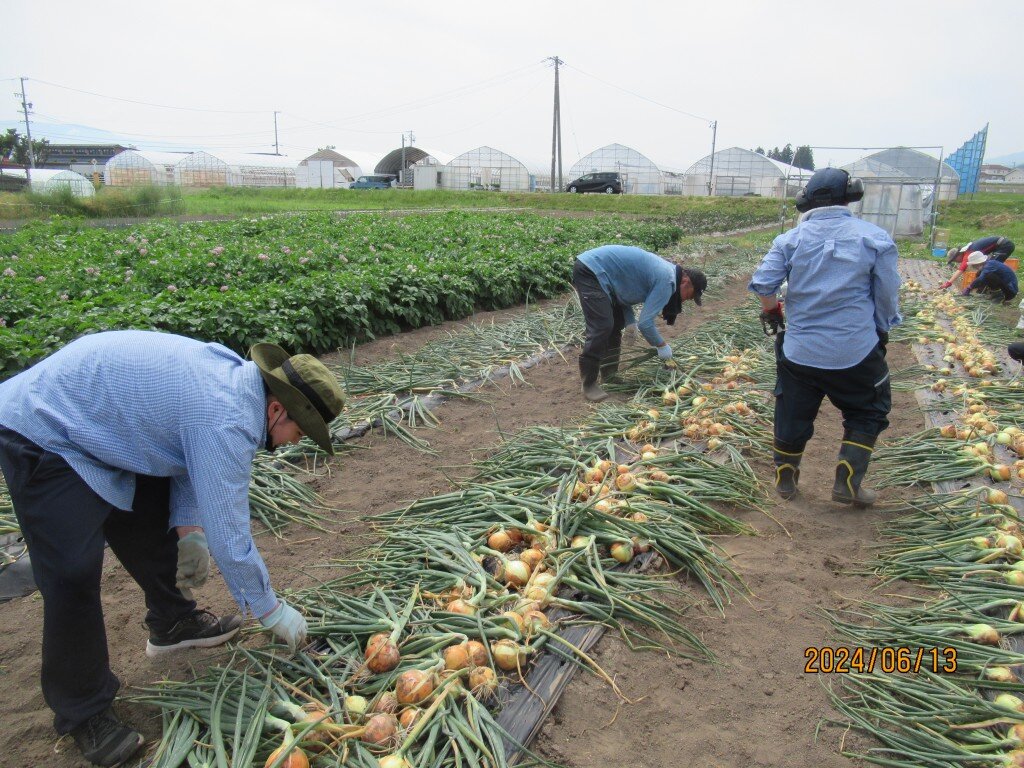  旬の野菜