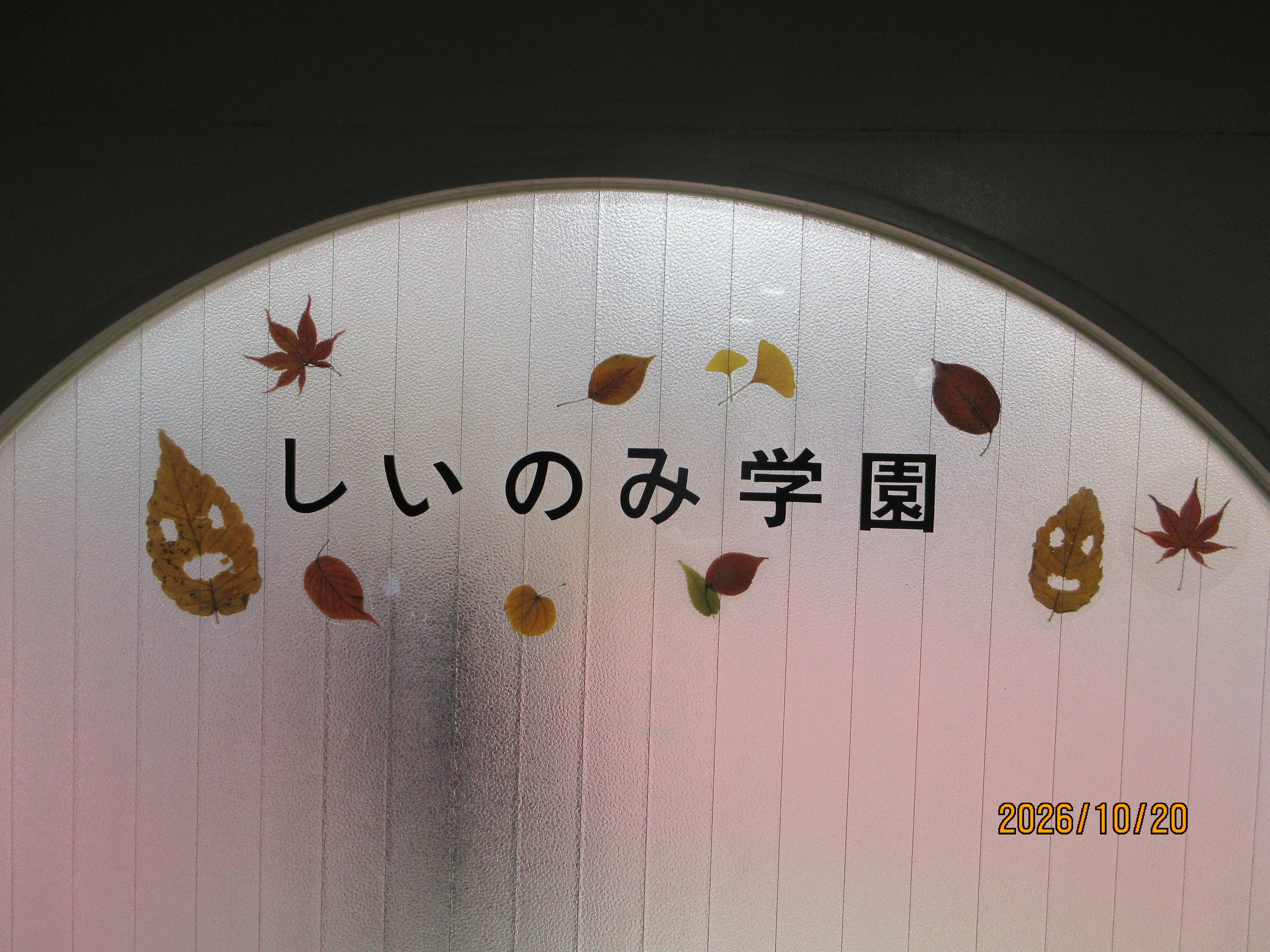 扉